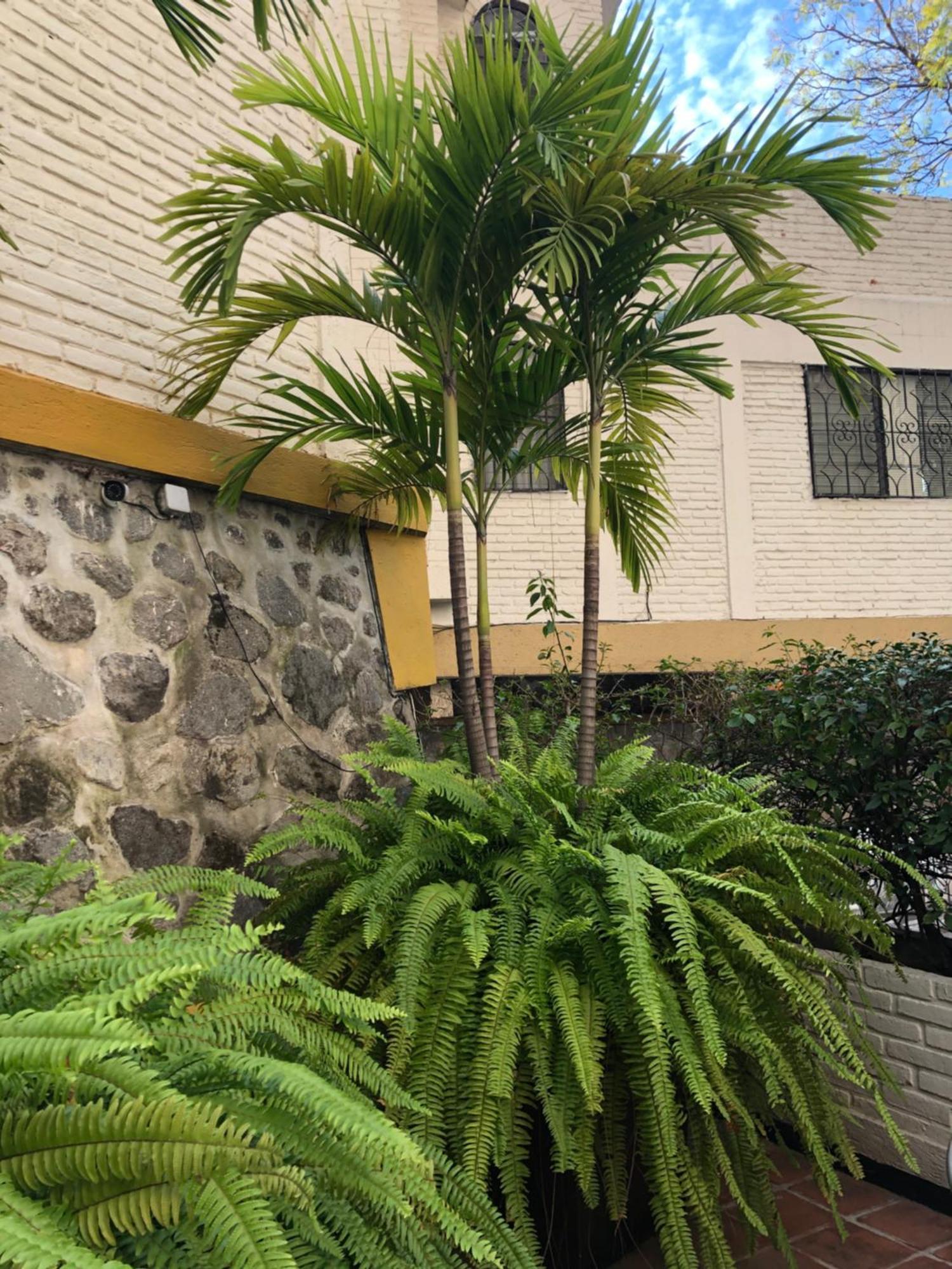 Hotel Ilebal Cuernavaca Centro - Lugar Con Encanto! Ngoại thất bức ảnh