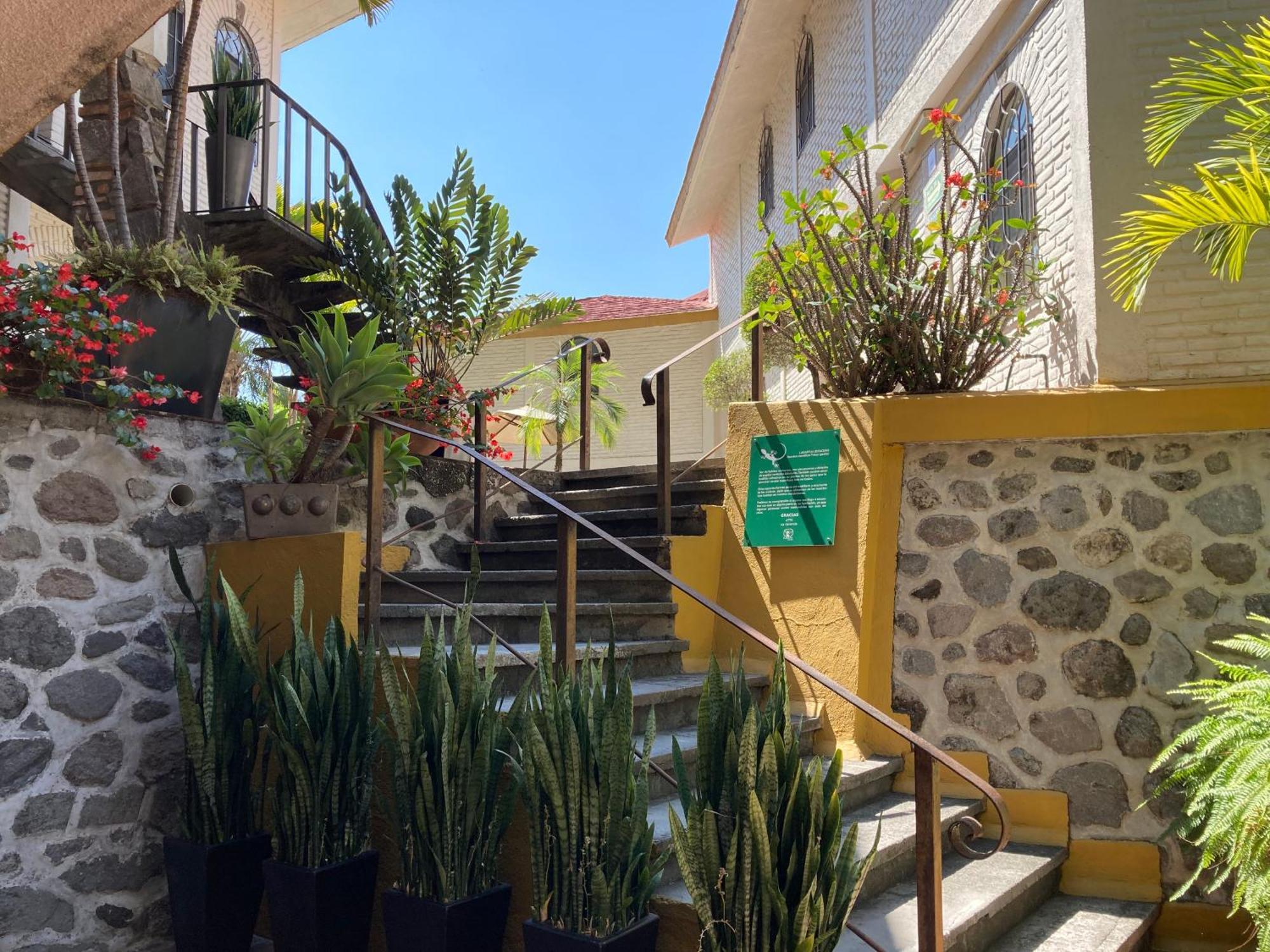 Hotel Ilebal Cuernavaca Centro - Lugar Con Encanto! Ngoại thất bức ảnh