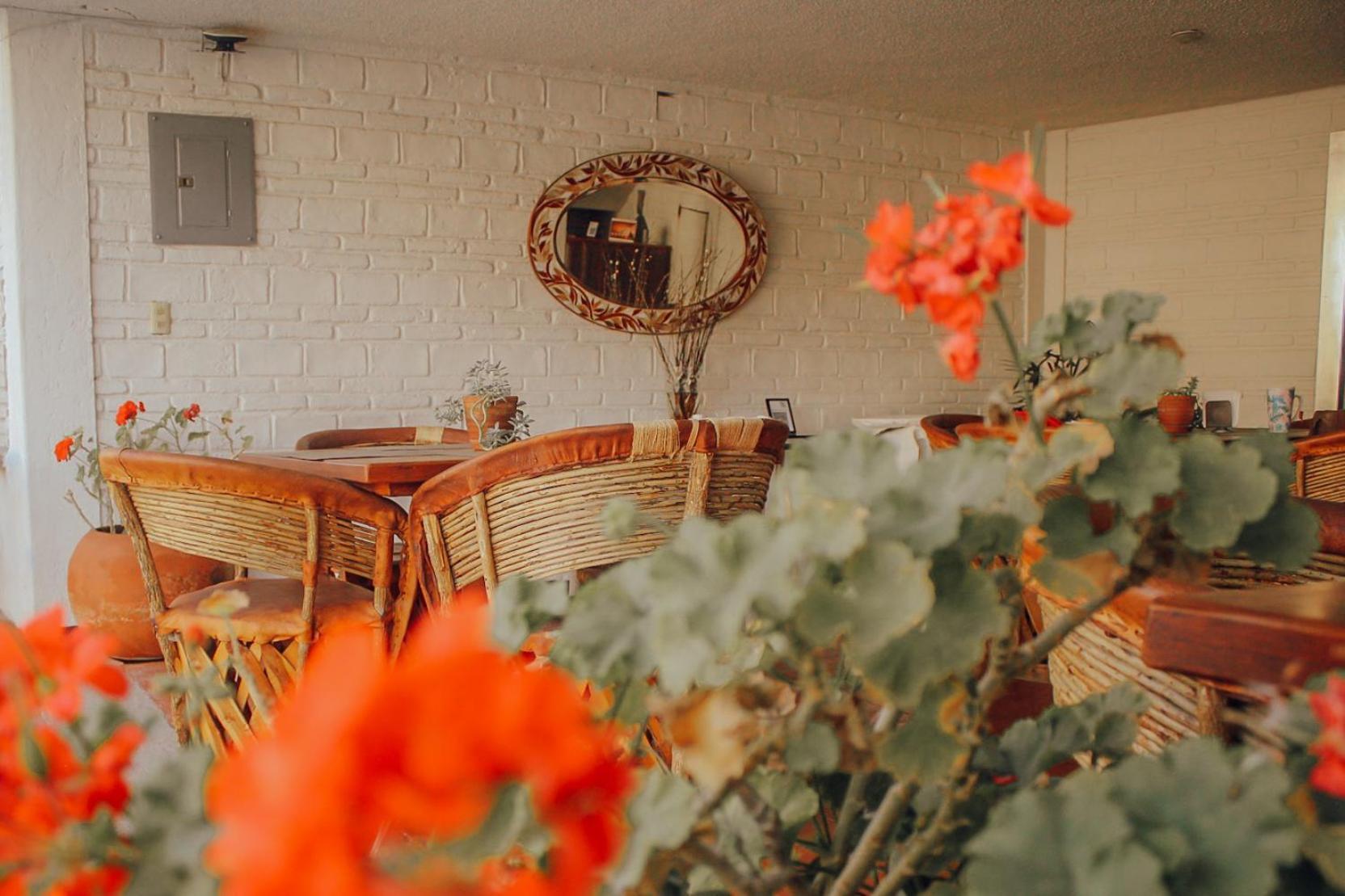 Hotel Ilebal Cuernavaca Centro - Lugar Con Encanto! Ngoại thất bức ảnh