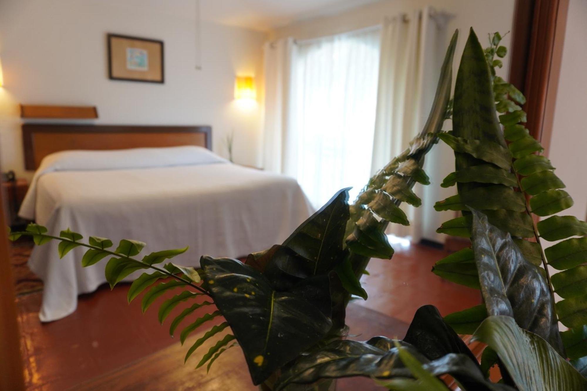Hotel Ilebal Cuernavaca Centro - Lugar Con Encanto! Ngoại thất bức ảnh