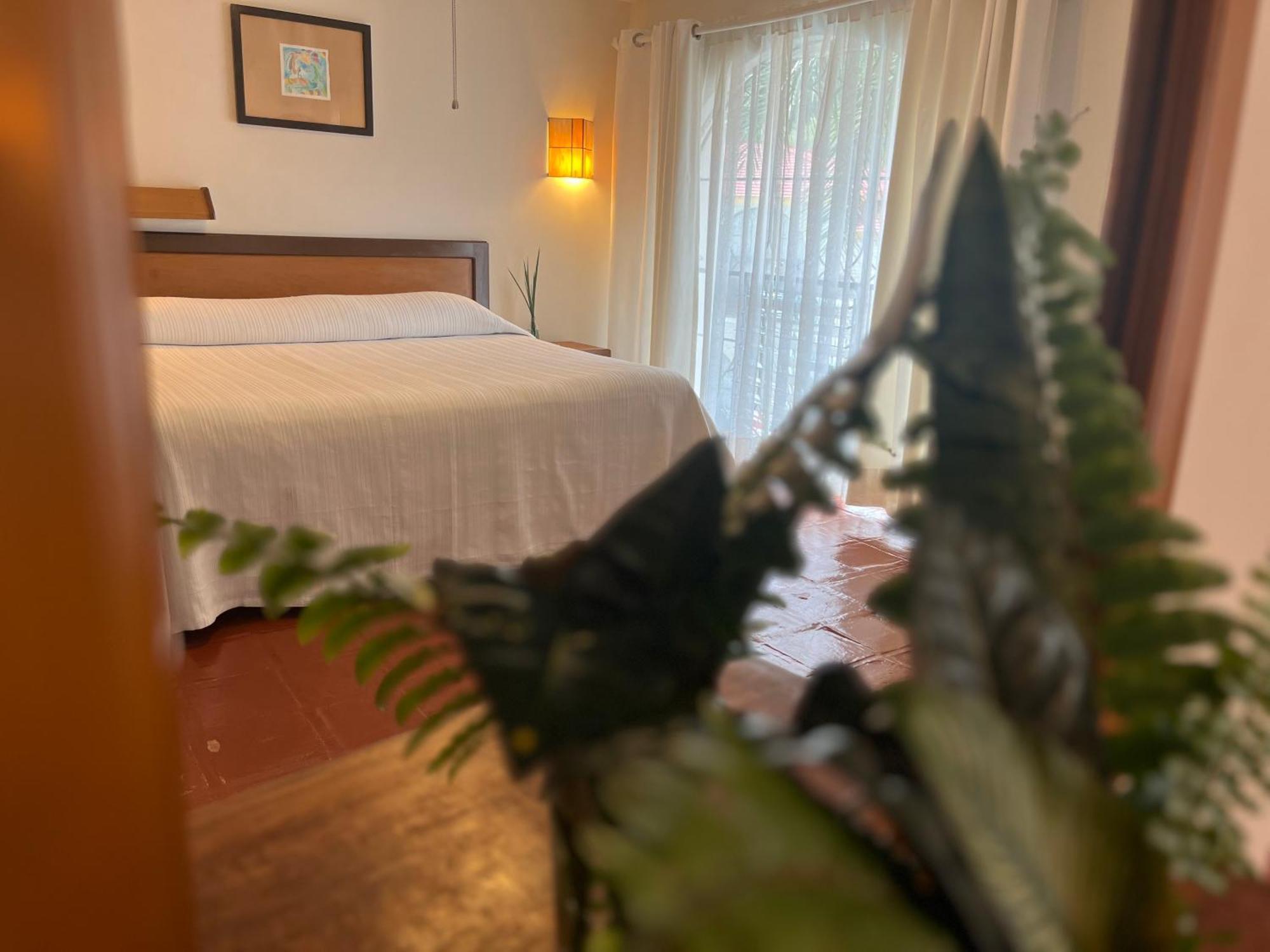 Hotel Ilebal Cuernavaca Centro - Lugar Con Encanto! Ngoại thất bức ảnh