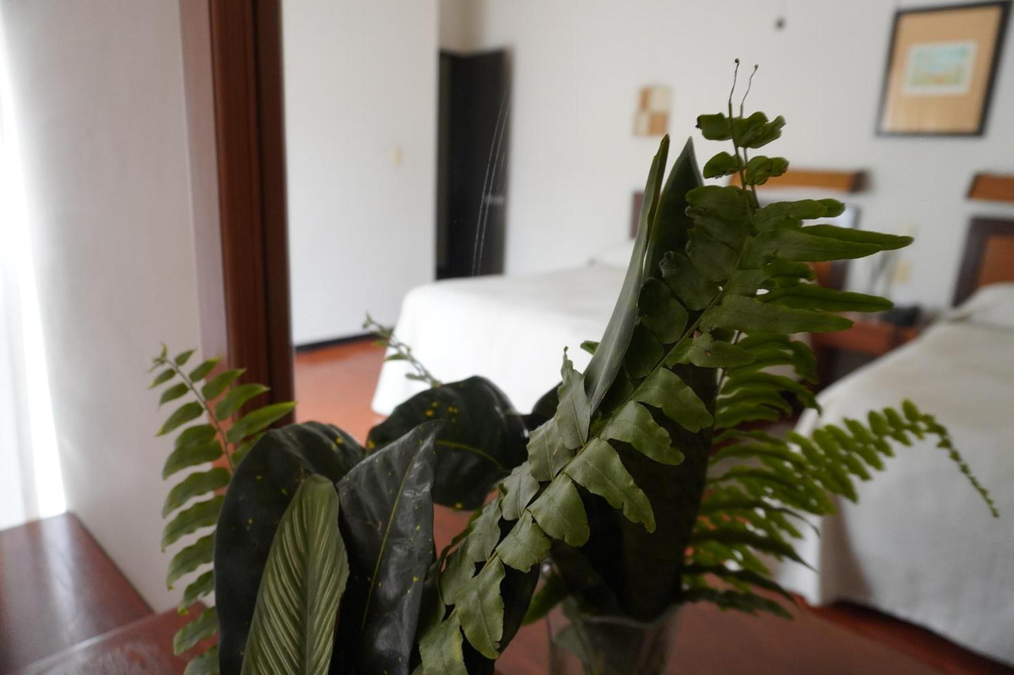 Hotel Ilebal Cuernavaca Centro - Lugar Con Encanto! Ngoại thất bức ảnh