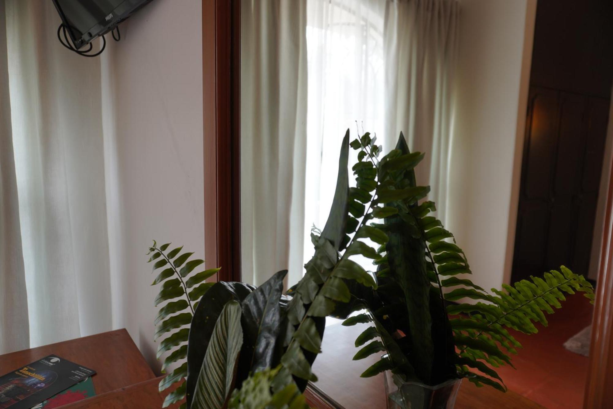 Hotel Ilebal Cuernavaca Centro - Lugar Con Encanto! Ngoại thất bức ảnh